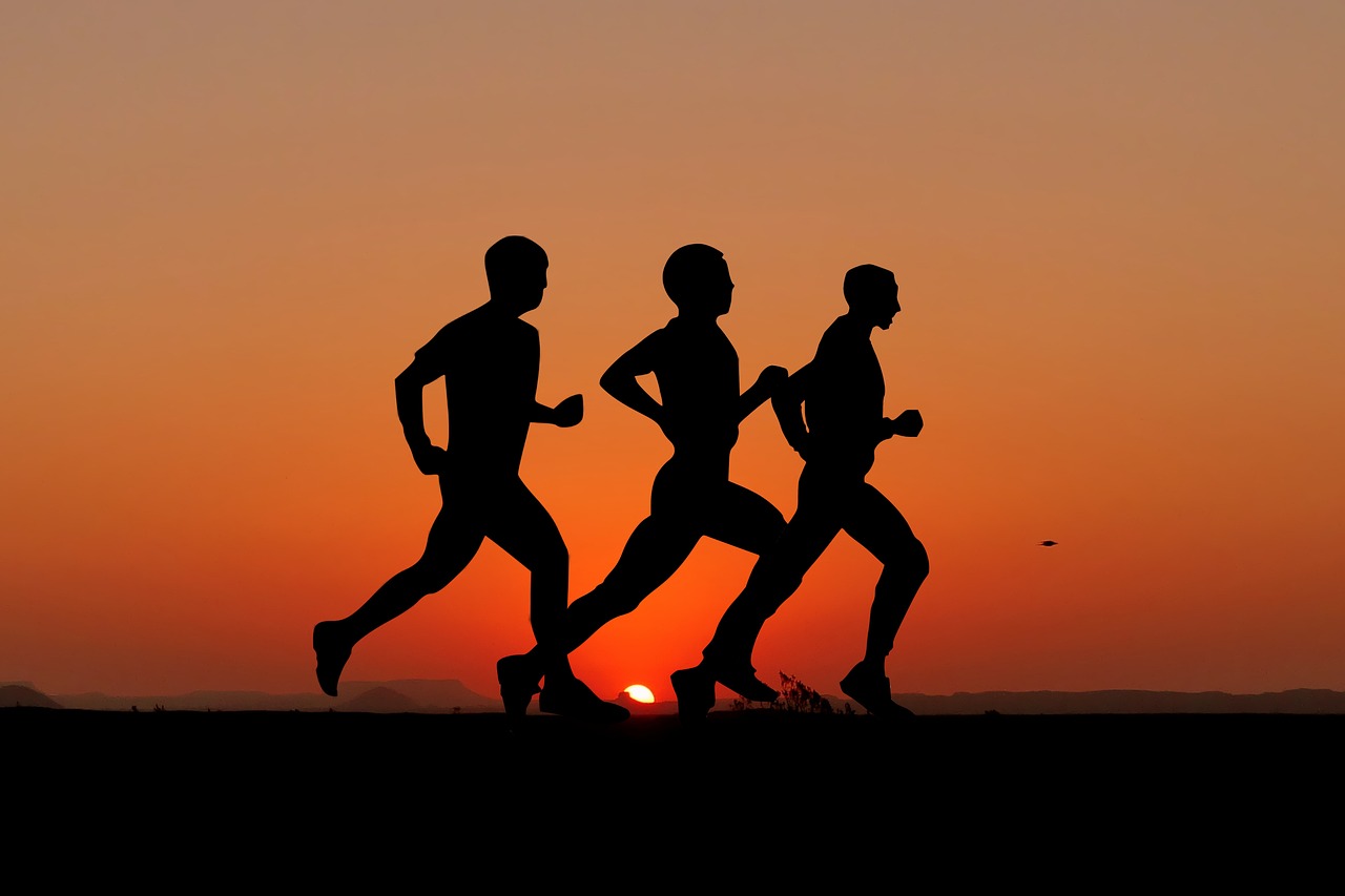 sunset, nature, sport